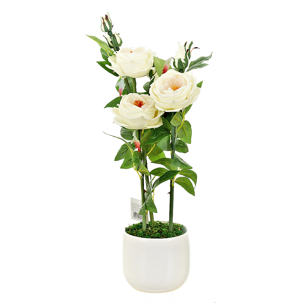 Композиция декоративная (с подсветкой) "Роза кустовая" (с эффектом натуральных лепестков, в керамиче