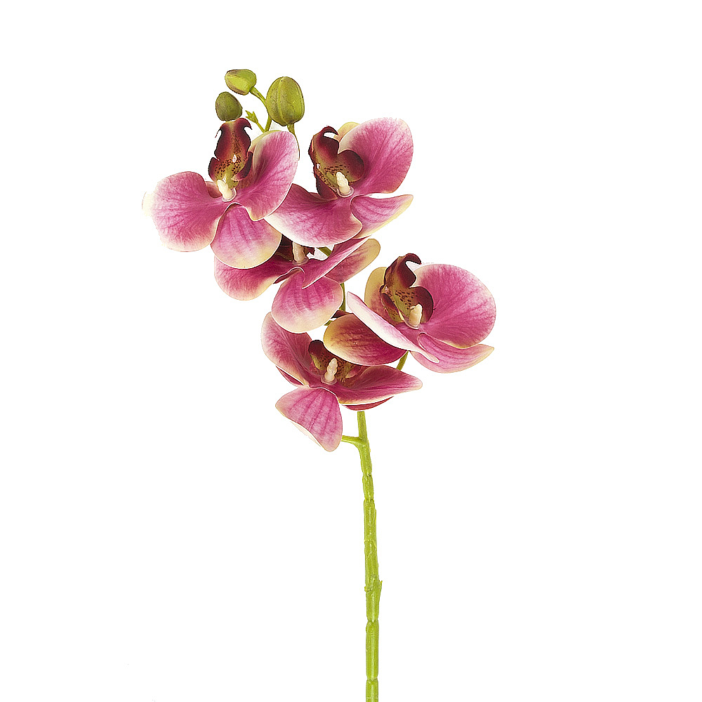 Цветок искусственный (на ножке)"Орхидея бордовая" h=70см.(real touch)(min33) (транспортная упаковка)